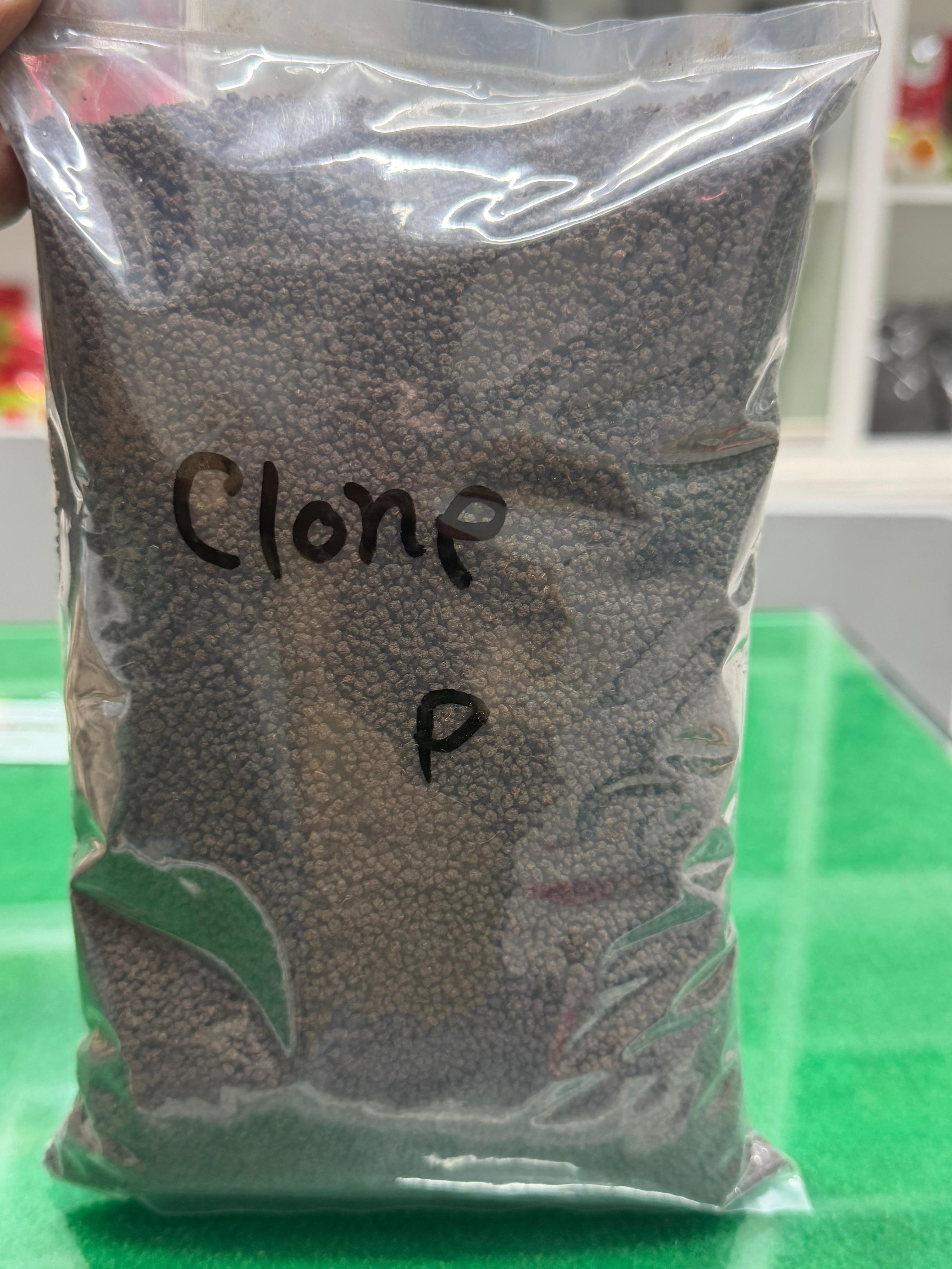 Clone Tea - 500gm